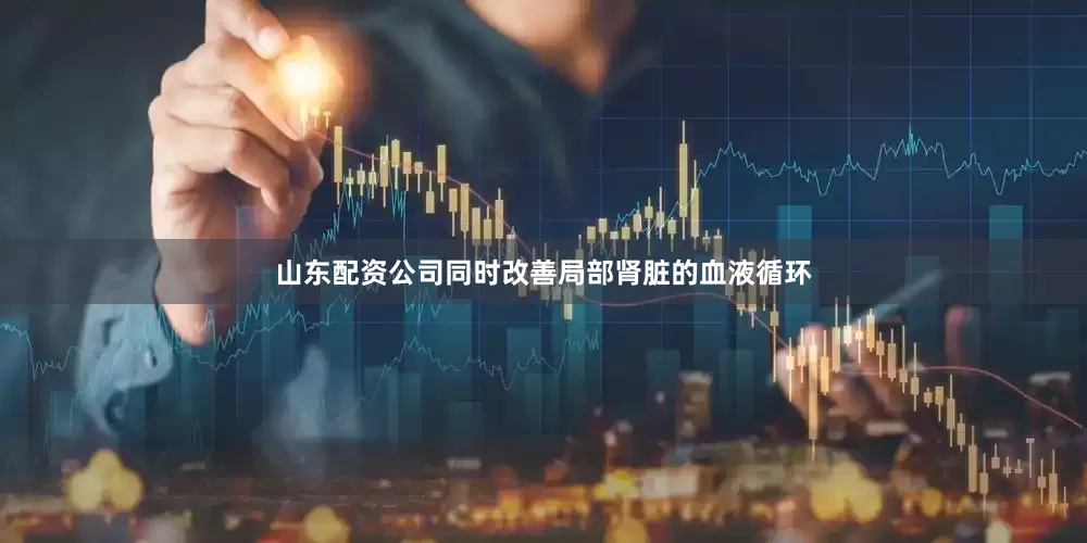 山东配资公司同时改善局部肾脏的血液循环
