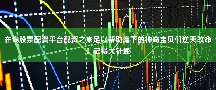 在线股票配资平台配资之家足以帮助麾下的神奇宝贝们逆天改命！记得大针蜂