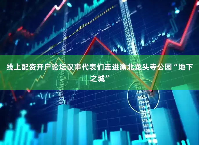 线上配资开户论坛议事代表们走进渝北龙头寺公园“地下之城”