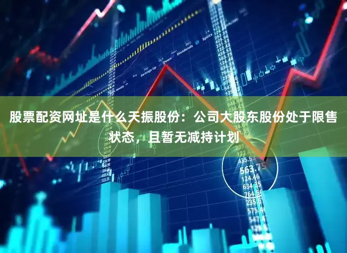 股票配资网址是什么天振股份：公司大股东股份处于限售状态，且暂无减持计划