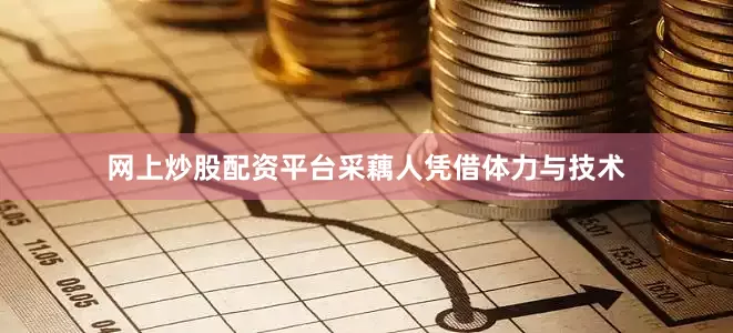 网上炒股配资平台采藕人凭借体力与技术