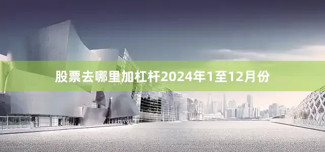 股票去哪里加杠杆　　2024年1至12月份